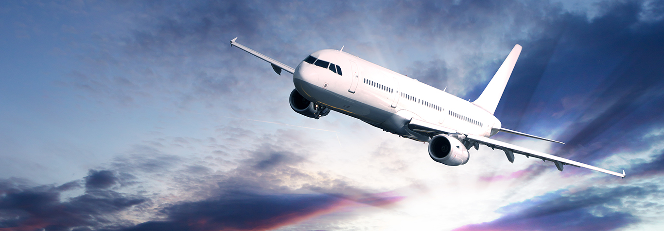Domestic Air Express Cargo